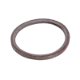 7824837 Gasket (Flue Gas)  DN80